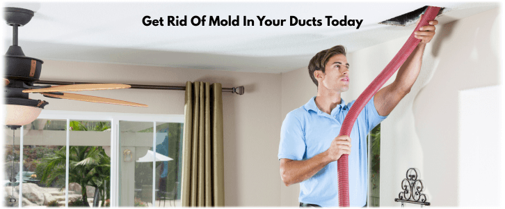 Air Duct Mold Removal in Santa Monica CA