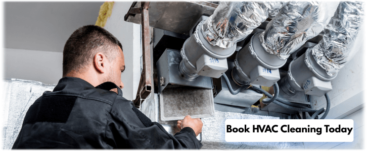 HVAC Mold Removal Santa Monica CA
